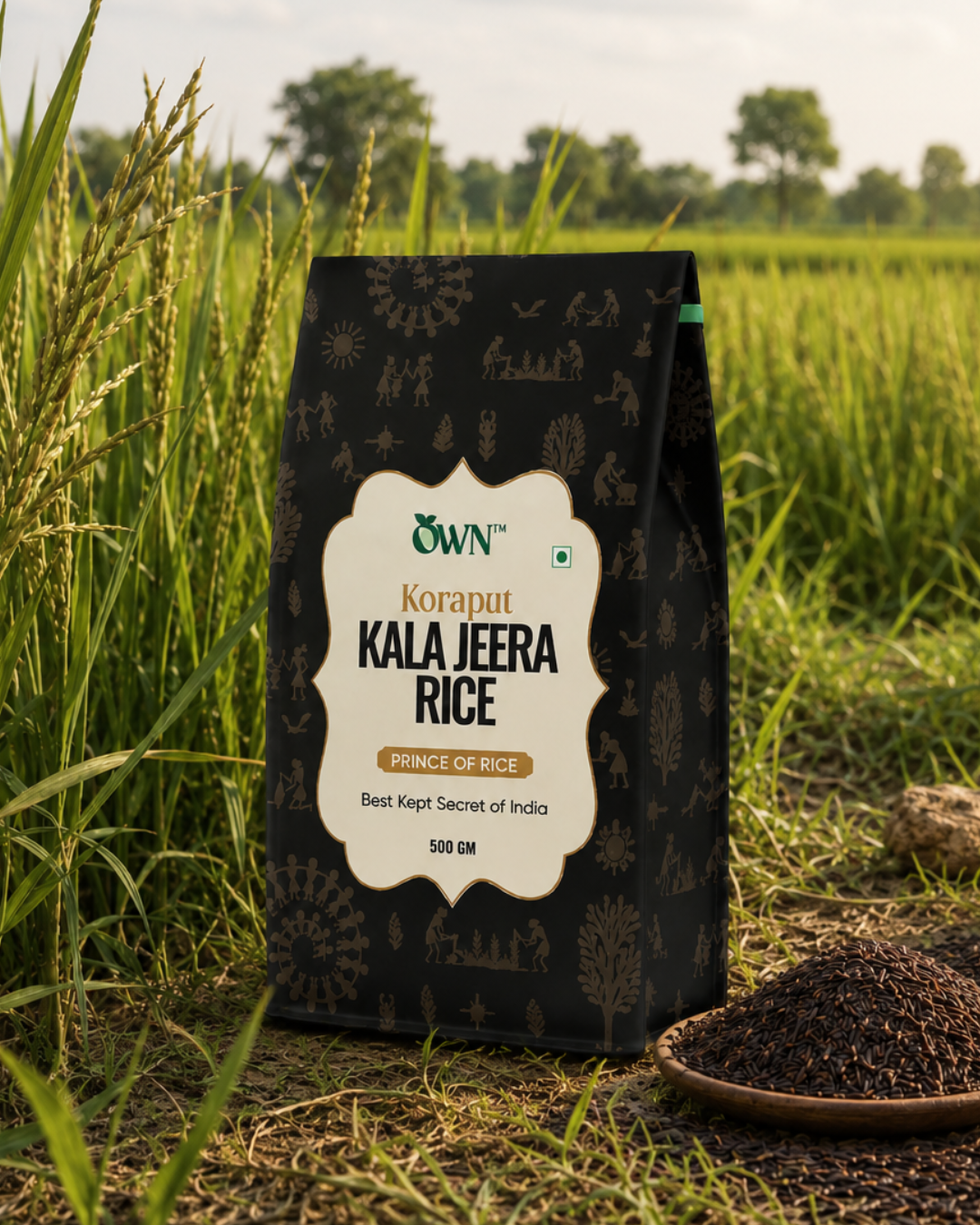 Beyond White Rice: Discover the Aroma of Kala Jeera Rice